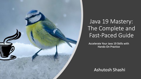 Java 19 Mastery: The Complete and Fast-Paced Guide [Free Online Course] - TechCracked