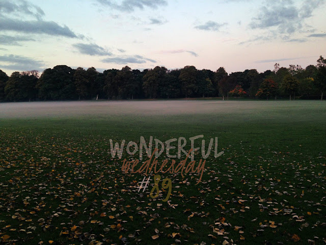 Wonderful Wednesday #89