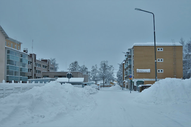 Lens and Cover | It's Winter Now - Snow, Snow, Snow