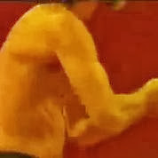 American Baba Ramdev.