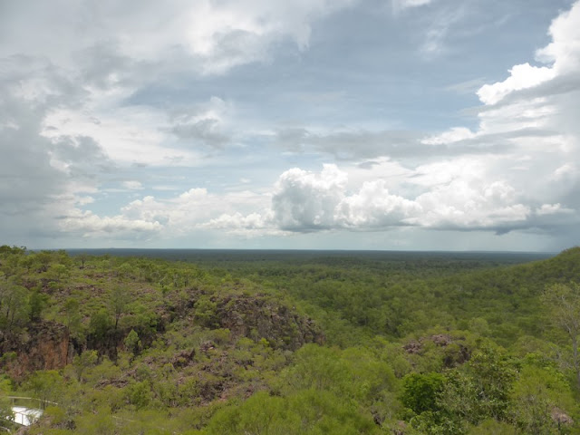 Bosque de Litchfield desde el mirador de la Cascada Tolmer