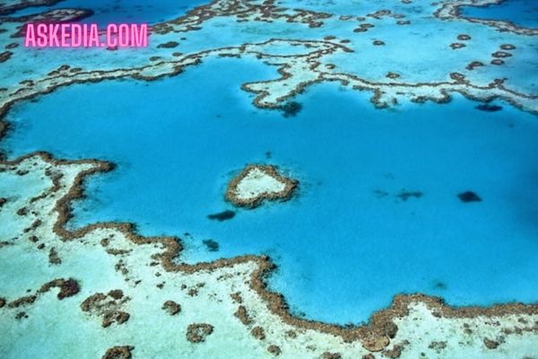 الحاجز المرجانى العظيم Great Barrier Reef - أستراليا ( أكبر شعاب مرجانية فى العالم - الحاجز المرجانى العظيم هو موطن لآلاف الأنواع البحرية )
