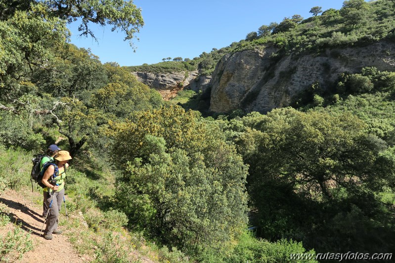 Tajo del Abanico - Encinas Borrachas - rio Audalazar - Alpandeire