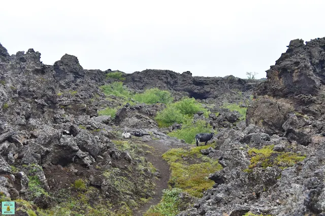 Dimmuborgir en Mývatn, Islandia