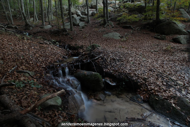 Turó i empedrat de Morou (Montseny)