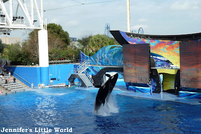 SeaWorld Orlando show