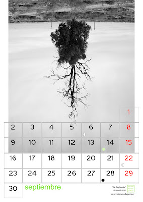 fotografia,diseño,calendario,blanco,negro,arte,serie,limites