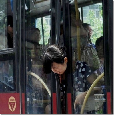 onibus bizarros 9