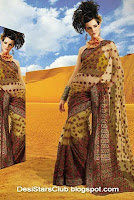 Latest Diwali Sarees Collection