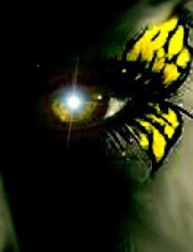 Discovery To Air Ufo Hunters Footage Sci Fi Found Too Shocking