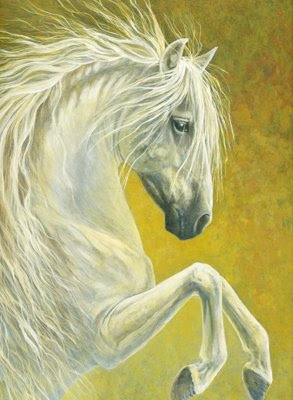 andalusian horse stallion painting by equine artist Shari Erickson