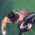 Incredible video shows a Miami Beach firefighter jumping into the water to save a puppy struggling to stay afloat. http://abcn.ws/2uD0zGD