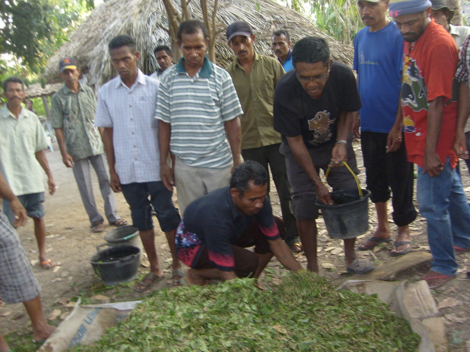 SAHABAT FM PETANI KAK IKUT PELATIHAN PEMBUATAN PUPUK ORGANIK