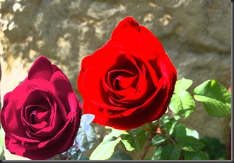naber
