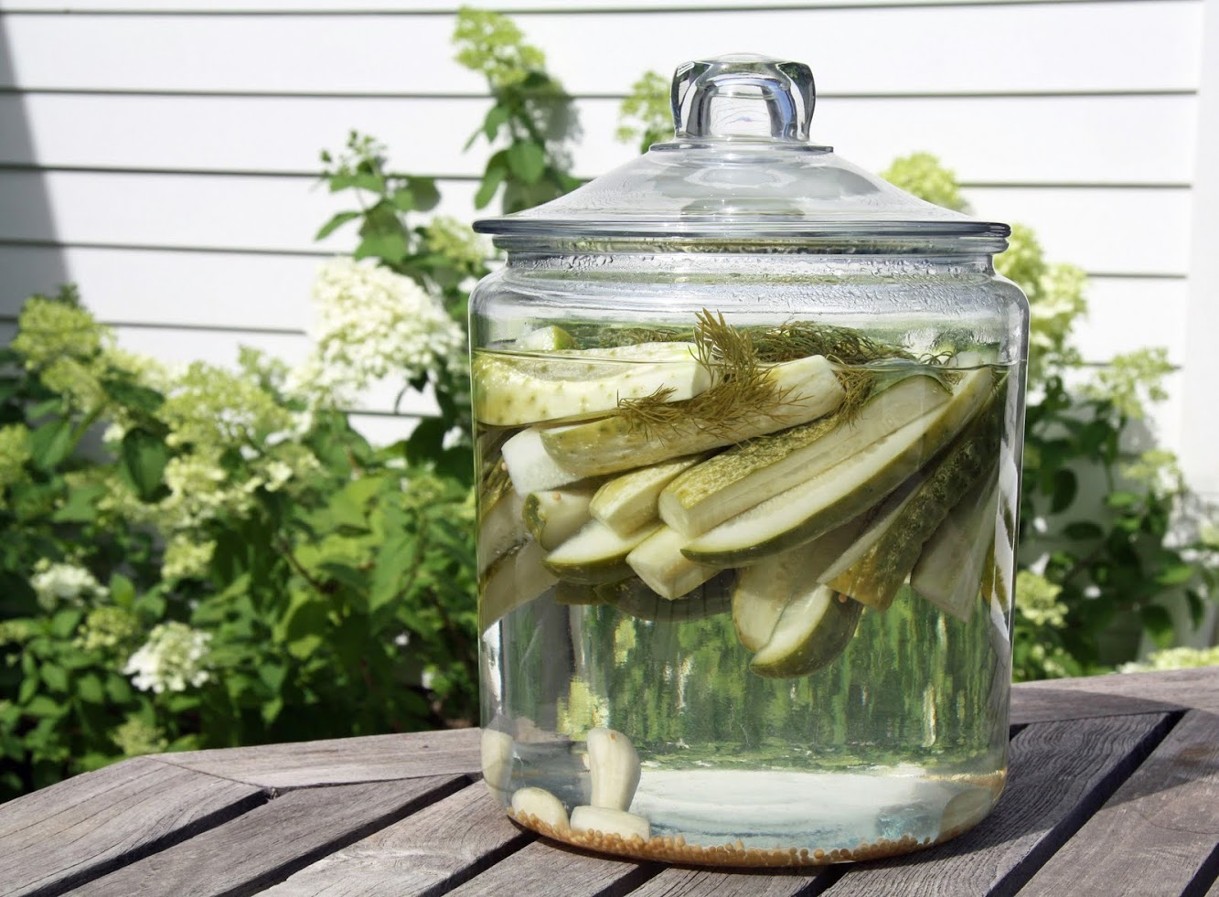 Refrigerator Pickles