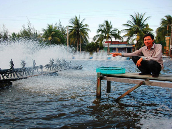 Thi Công Sơn Hồ Nuôi Tôm