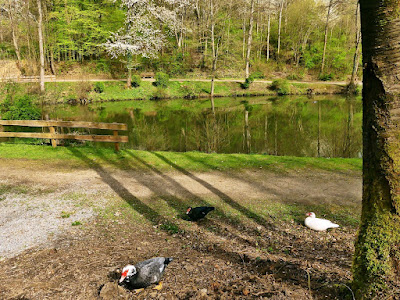 Blick auf den Striethteich