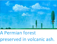 http://sciencythoughts.blogspot.co.uk/2012/02/permian-forest-preserved-in-volcanic.html