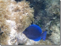 P2251095 (2)