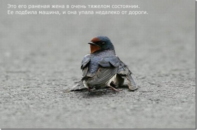 clip_image001