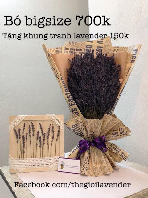 hoa lavender khô