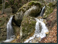 DSCN1021