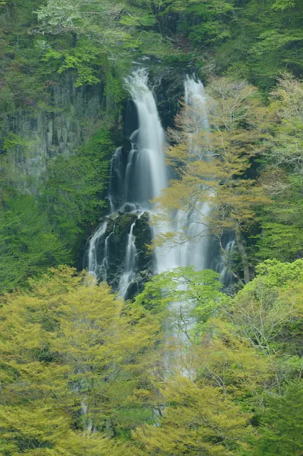 霧降の滝（上段）