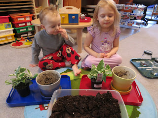 Potting a Plant: Take Two and Window Washing