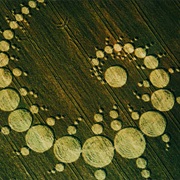 Crop Circles, What doesn’t get covered here are things like stories of landed Martians, alien abductions, crop circles, cattle mutilations, ESP, faith healing, Big Foot, and the Loch Ness Monster.