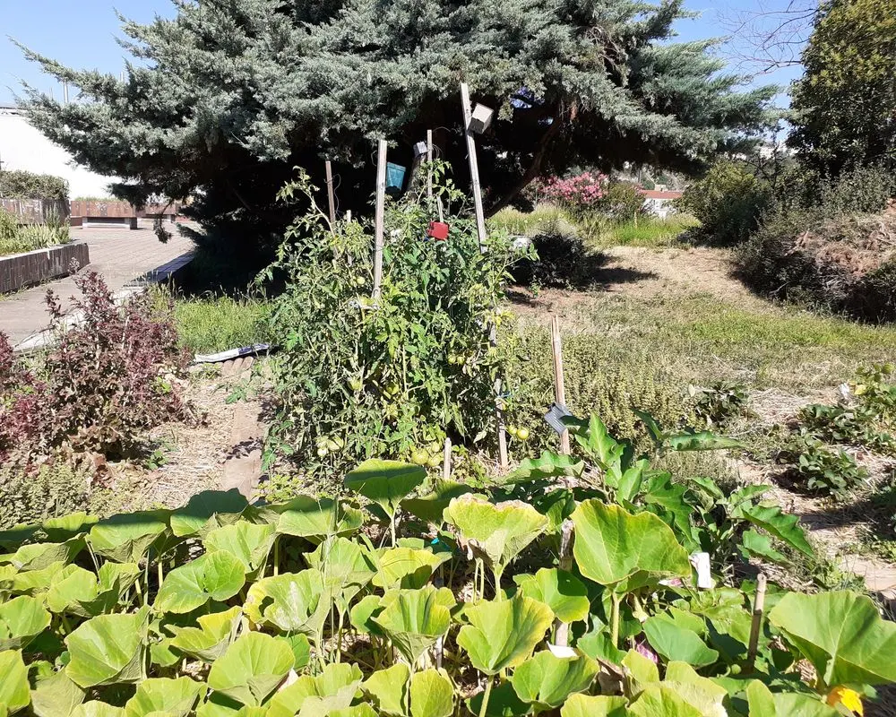 jardin suspendu perrache lyon