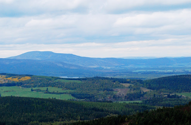 Glen Tanar Estate walk