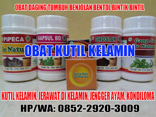 Obat Kutil Kelamin