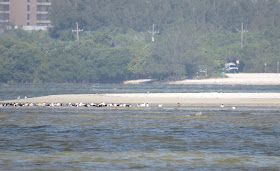 Bunche Beach, Florida