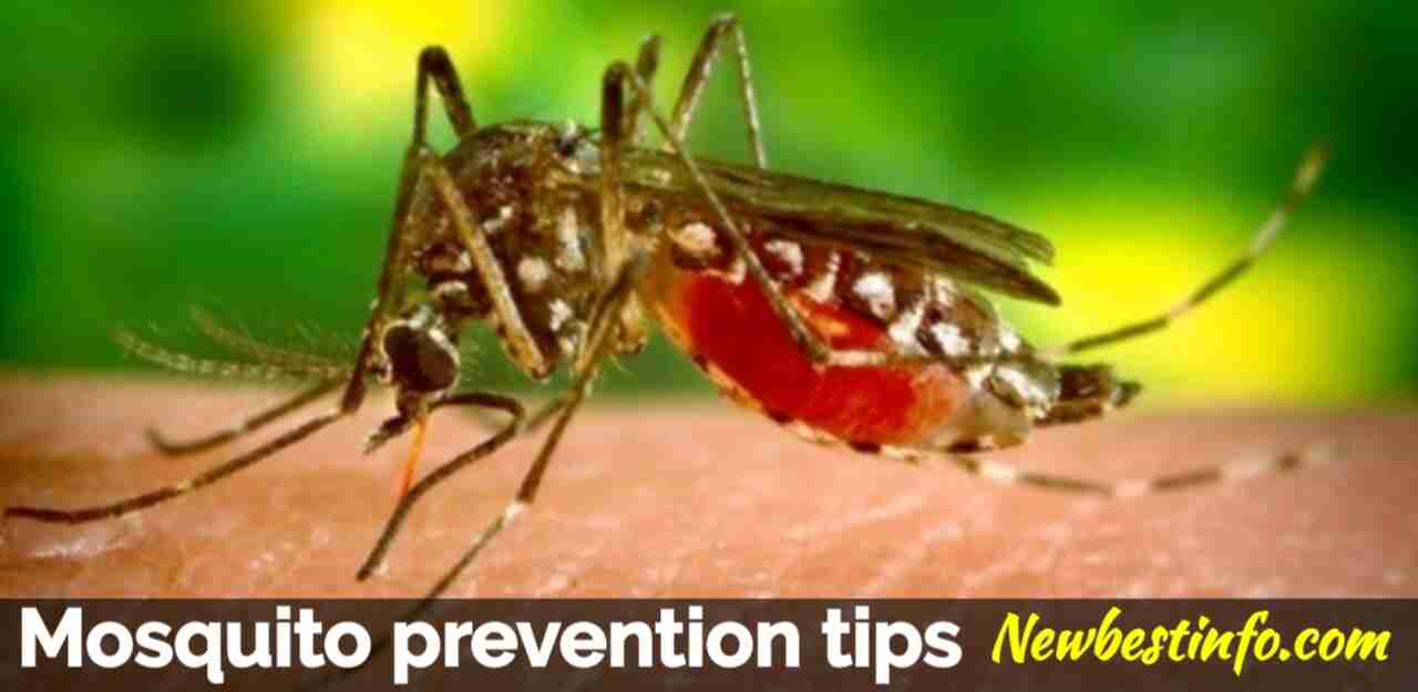 Easy Ways to Prevent Mosquito Bites