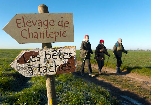  Elevage de Chantepie