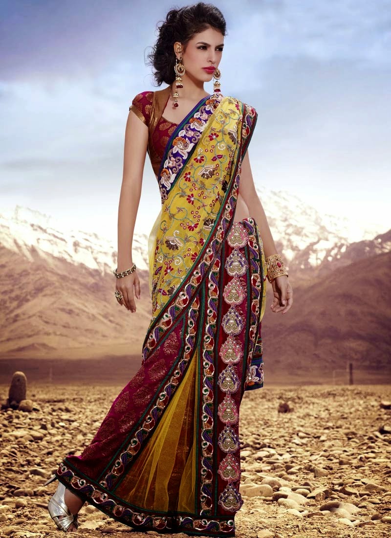 Latest Indian And Pakistani Sarees Designs 