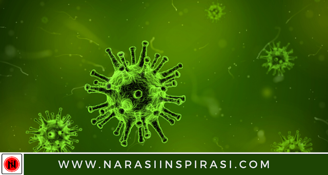 Wabah Pandemi Virus Corona