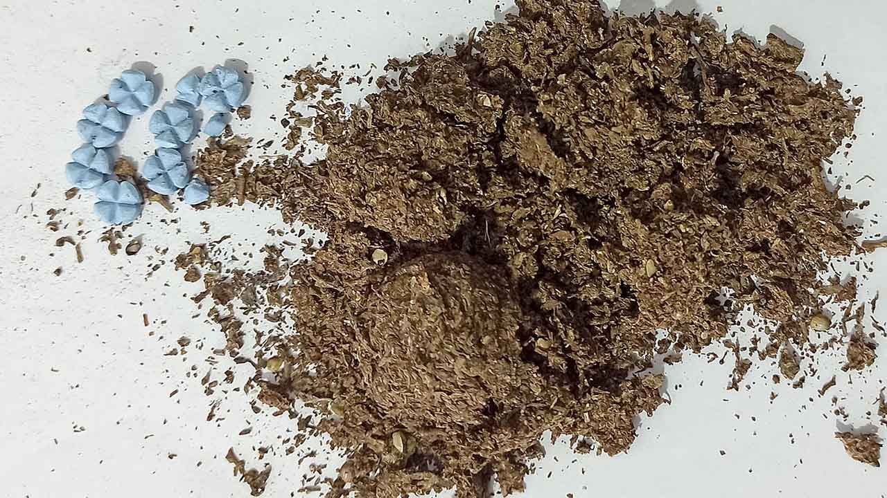 Mulher é flagrada com maconha e comprimidos de Viagra em Hortolândia