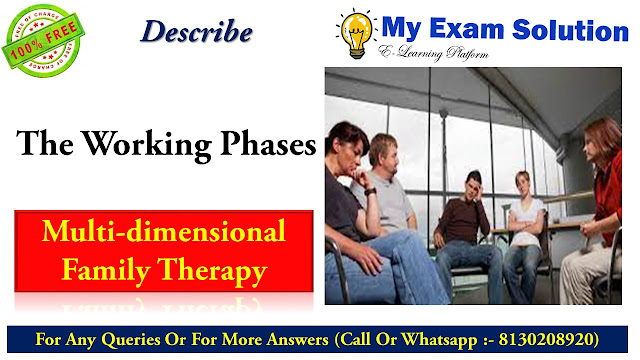 multidimensional family therapy techniques, multidimensional therapy psychology, multidimensional family therapy pdf, multidimensional family therapy manual, multidimensional family therapy case example, multidimensional family therapy limitations, multisystemic therapy, what is functional family therapy