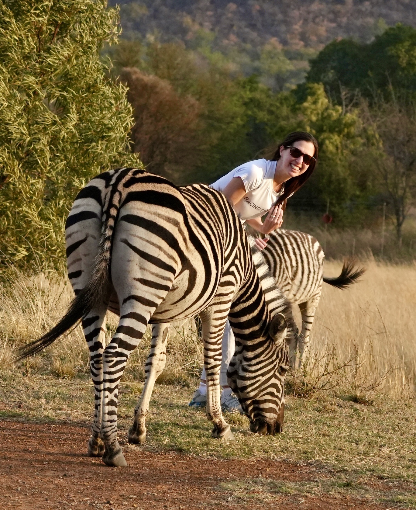 A Striped History – The Story Of The Zebra Crossing