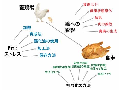 Chiken