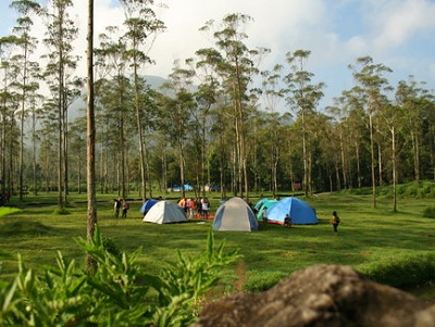 Bumi Perkemahan Ranca Upas