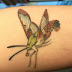 Claire's Hemaris Thysbe Flutters on Her Forearm