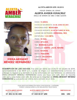Activan Alerta Amber para Erika Aridahit Méndez Hernández en Cordoba Veracruz