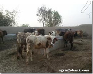Comprehensive plan being pursued for farmers' welfare: Zaman: agrinfobank.com