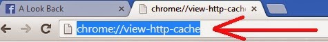 Google Chrome view http cache