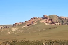 IMG_5004