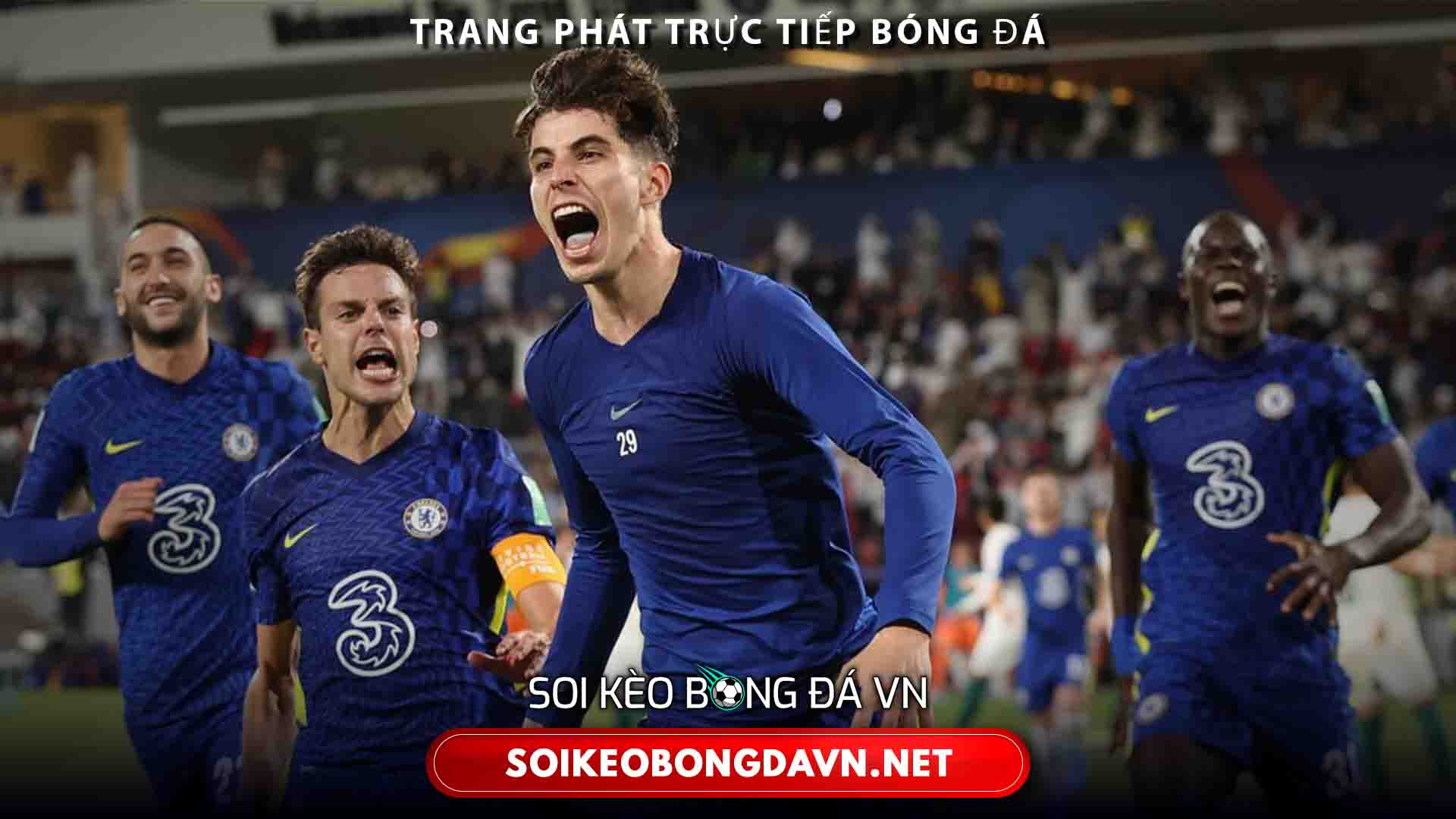 Trực tiếp World Cup 2022 hôm nay