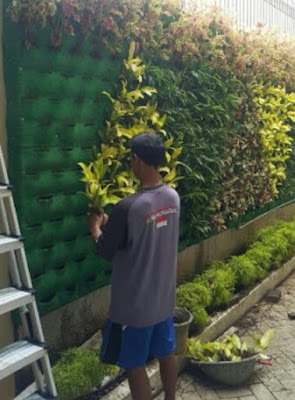 Tukang Taman Vertikal Garden | Jasa Pembuatan Taman Vertikal | Jasa Pembuat Vertikal Garden di Bogor - Tukang Rumput Bogor