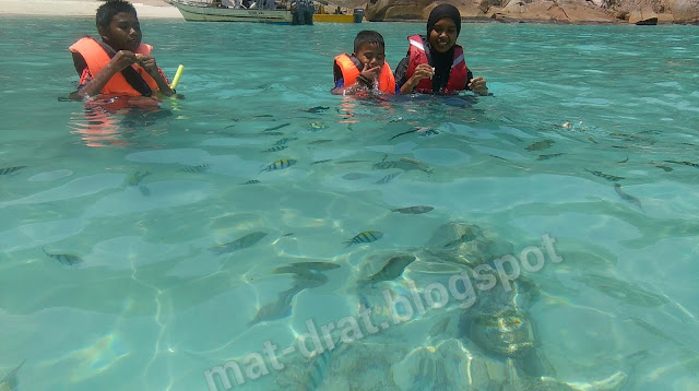 Aktiviti snorkeling kami bersambung di sini....